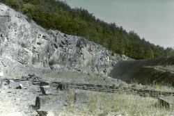 Buchserberg3_1947_Wehrli.jpg