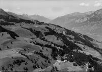 Tannenheim