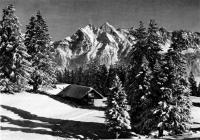 MolserAlp3.jpg