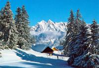 Molseralp2.jpg