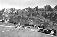 Tannenboden4.jpg