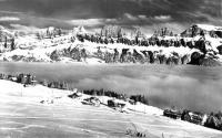 Tannenboden5Winter.jpg