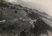 Tannenboden