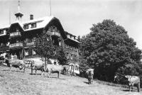 Tannenheim