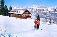 Skilift Schoenhalden