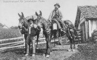 gepaecktransport_fuer_schoenhalden.jpg