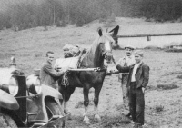 Alp_Wiesen_1920erB.jpg