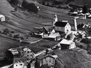 Weisstannen