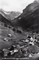 Weisstannen_Batoeni_Heidelpass.jpg