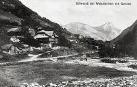 Weisstannen_Schwendi.jpg