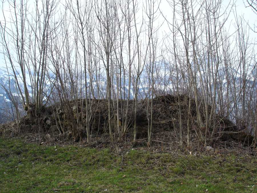 Ruine Bommerstein