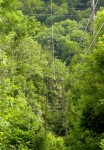 oberterzen_seebenalp_3.jpg