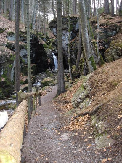 Waldweg_Grotte_Tils